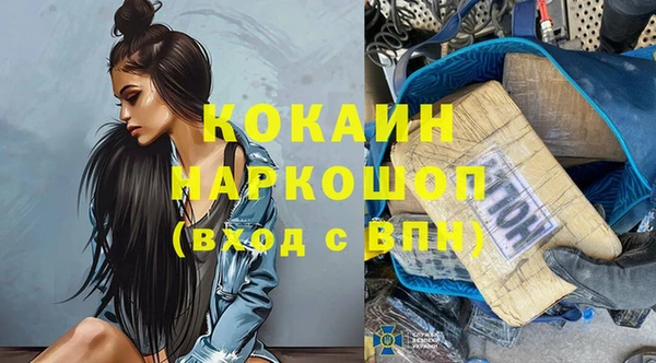 стаф Аркадак