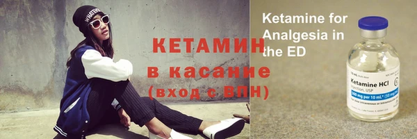 стаф Аркадак