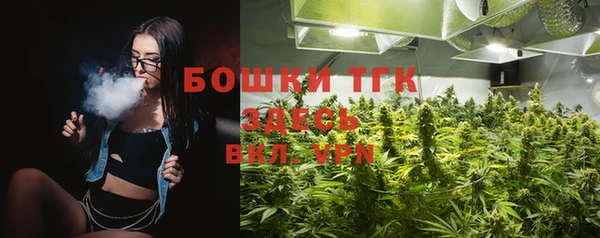 стаф Аркадак