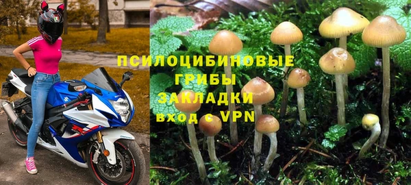 прущий лед Арсеньев