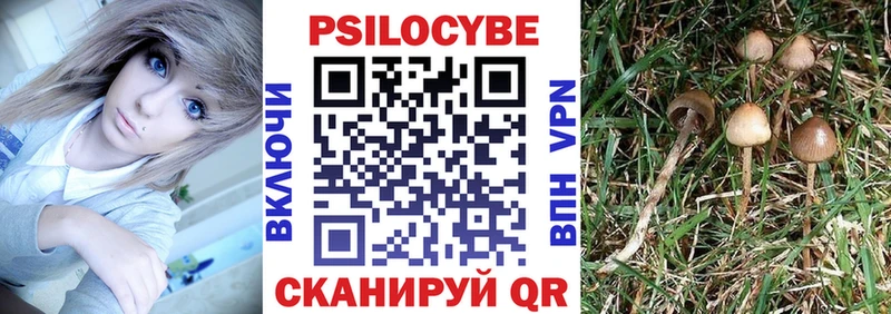 Псилоцибиновые грибы Psilocybine cubensis  Байкальск 